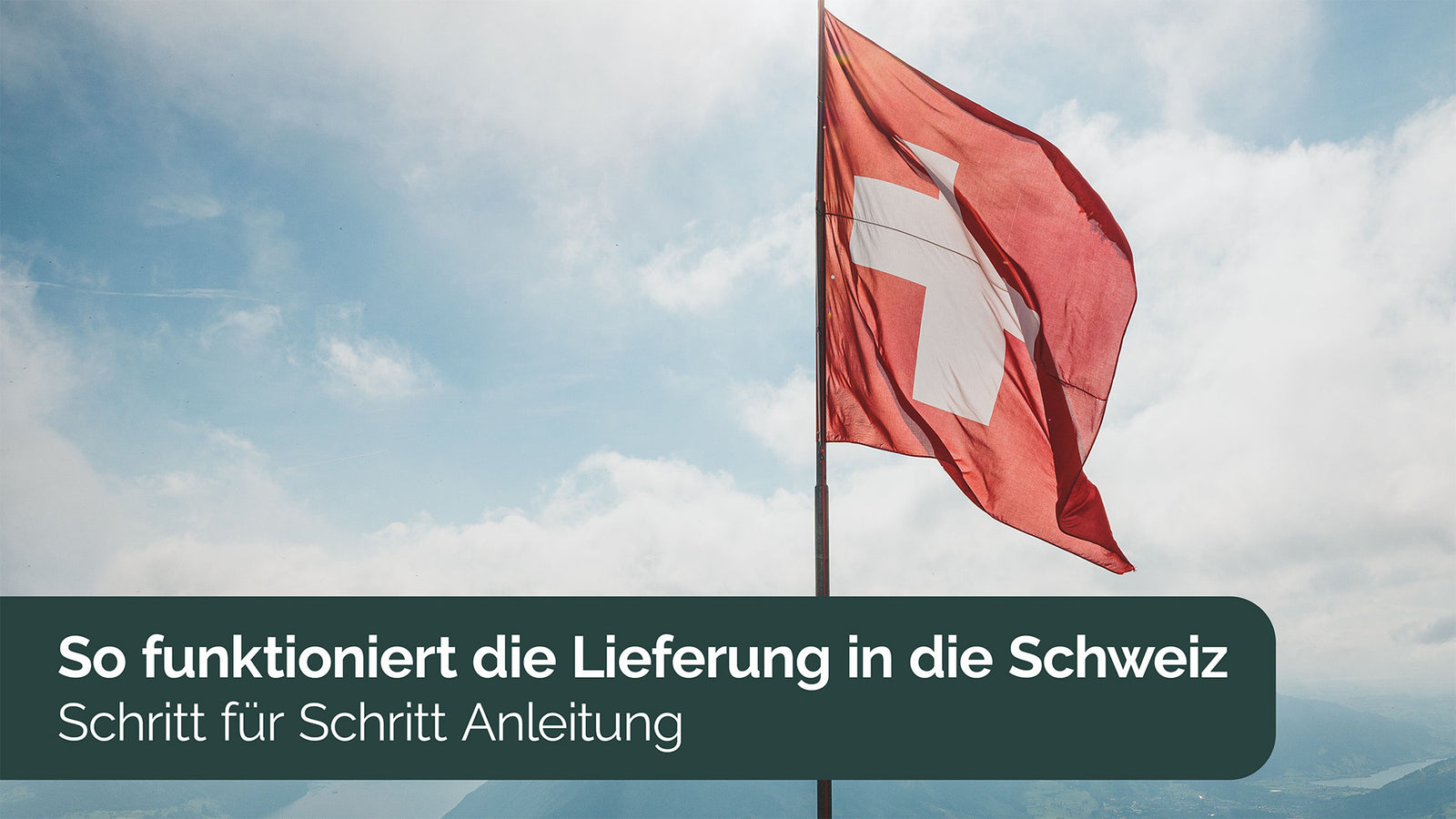 Badminton_Lieferung_Schweiz